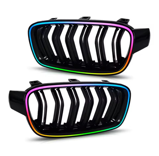 Beleuchtete Nieren RGB
